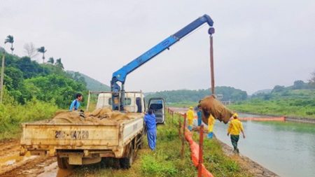 Màng chuyên dụng lọc tách dầu thải lẫn trong nước